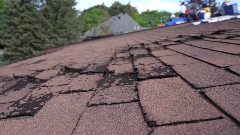 Fast & Reliable Emergency Roof Repairs in Tualatin, OR